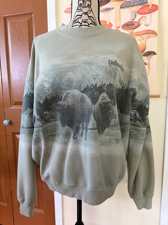 Abercrombie & Fitch Tops - Abercrombie & Fitch Sage Green Graphic Crewneck Sweatshirt